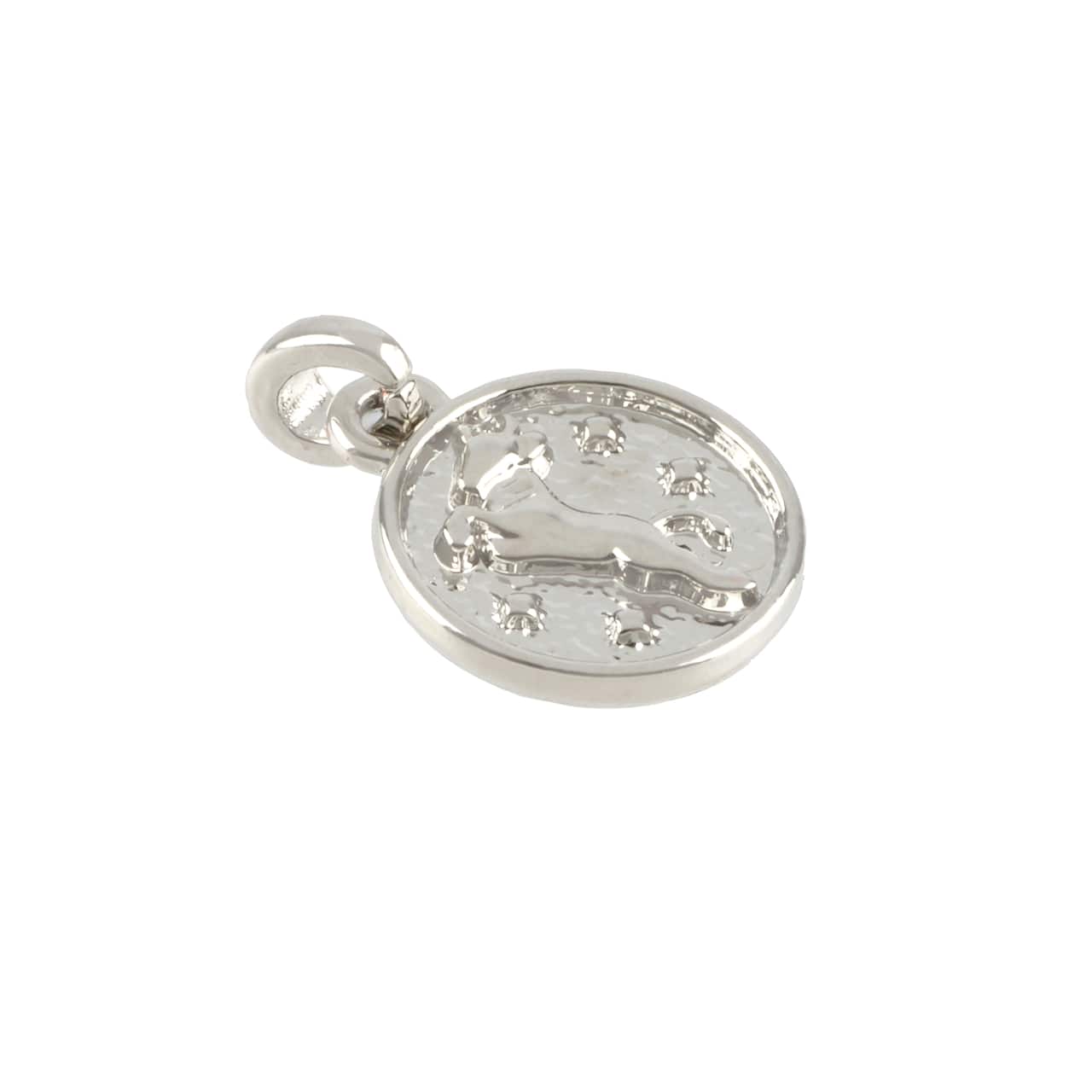 12 Pack: Metal Zodiac Coin Charm by Bead Landing™